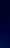 TRAIT BLEU PROTEST