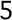 5