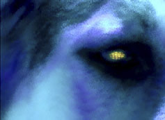 IMAGECHIENBLEUANNAGROBLER